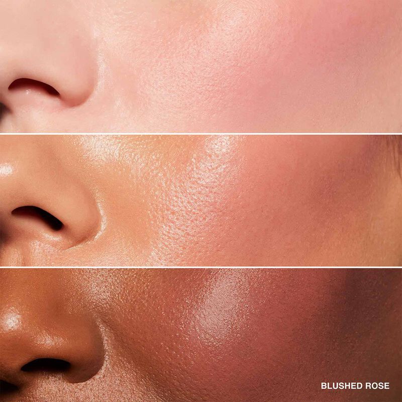 Bobbi Brown Pot Rouge for Lips & Cheeks image number 14